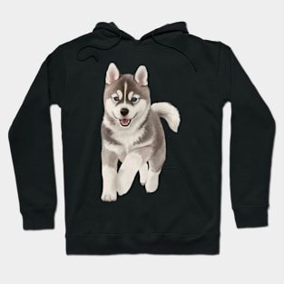 Siberian husky Hoodie